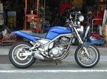 120626-tama-3sx_101.jpg